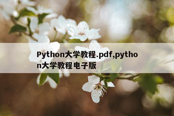 Python大学教程.pdf,python大学教程电子版