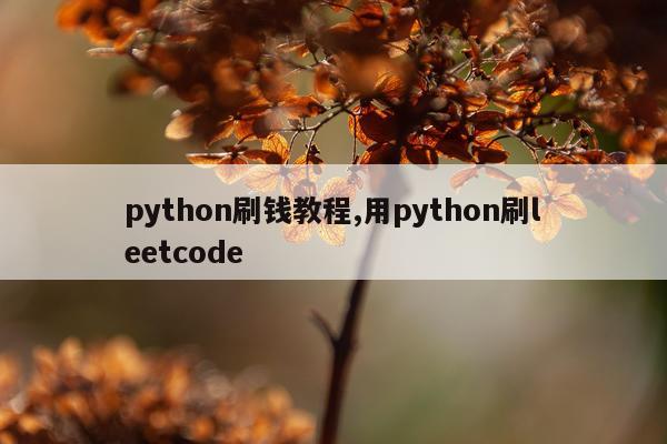 python刷钱教程,用python刷leetcode