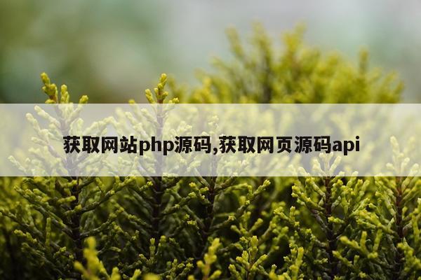 获取网站php源码,获取网页源码api