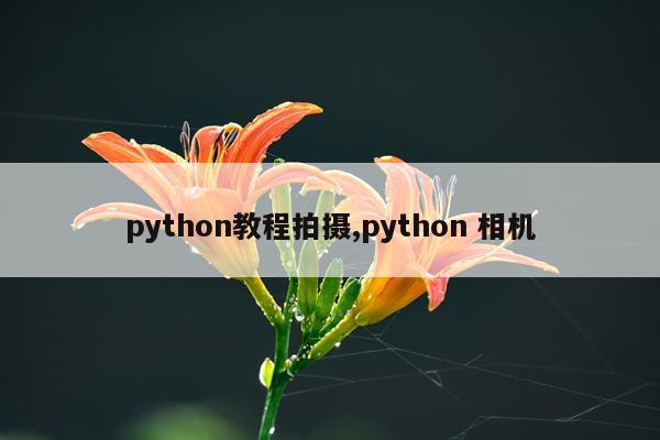 python教程拍摄,python 相机