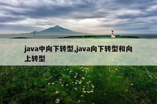 java中向下转型,java向下转型和向上转型