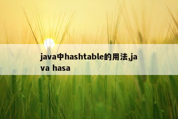 java中hashtable的用法,java hasa