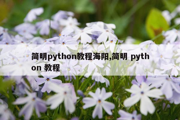 简明python教程海阳,简明 python 教程