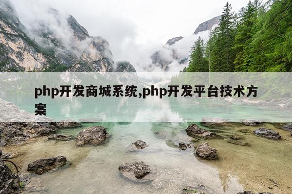 php开发商城系统,php开发平台技术方案