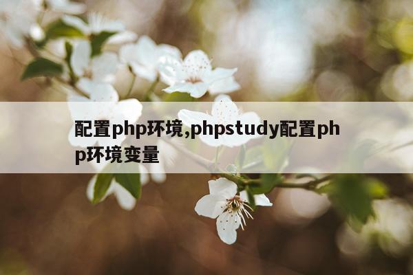 配置php环境,phpstudy配置php环境变量