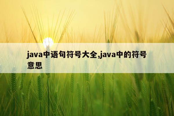 java中语句符号大全,java中的符号意思
