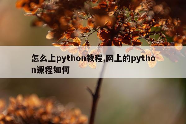 怎么上python教程,网上的python课程如何