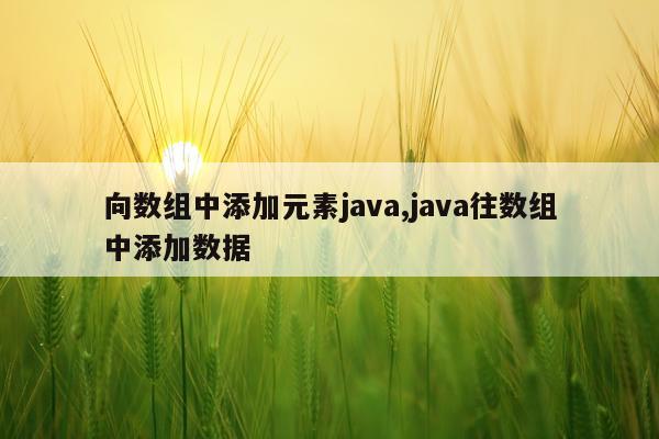 向数组中添加元素java,java往数组中添加数据