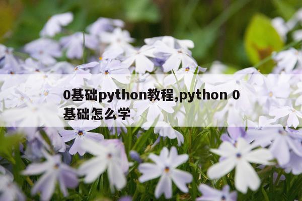 0基础python教程,python 0基础怎么学