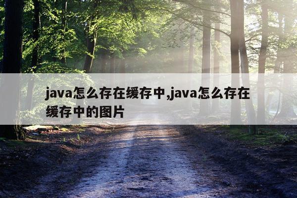 java怎么存在缓存中,java怎么存在缓存中的图片