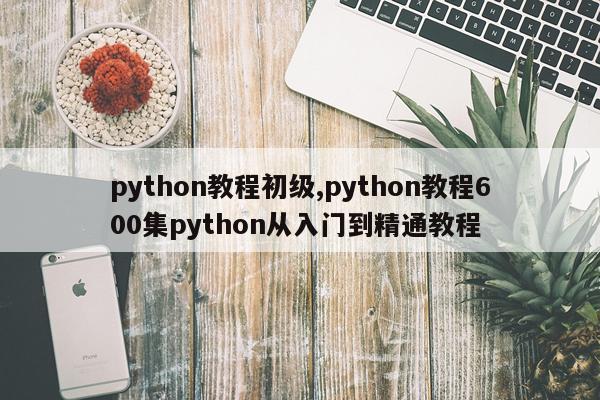 python教程初级,python教程600集python从入门到精通教程