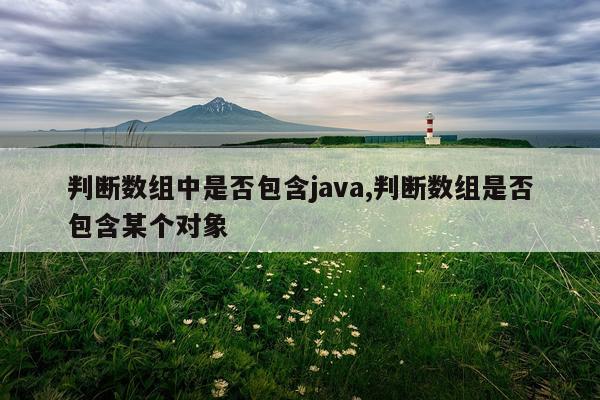 判断数组中是否包含java,判断数组是否包含某个对象