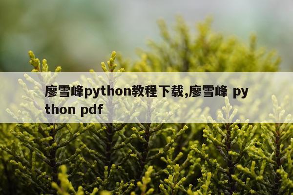 廖雪峰python教程下载,廖雪峰 python pdf