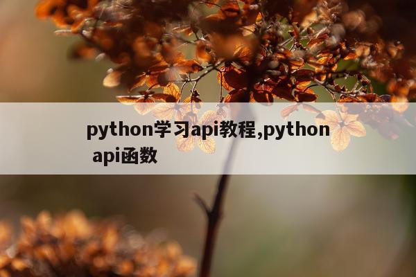 python学习api教程,python api函数