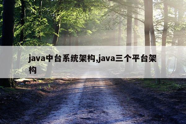 java中台系统架构,java三个平台架构