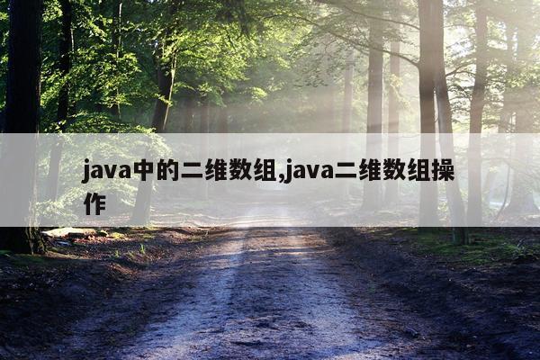 java中的二维数组,java二维数组操作