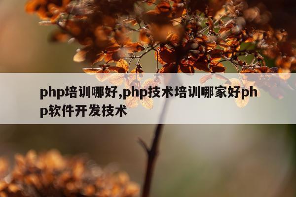 php培训哪好,php技术培训哪家好php软件开发技术