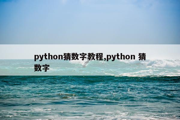 python猜数字教程,python 猜数字