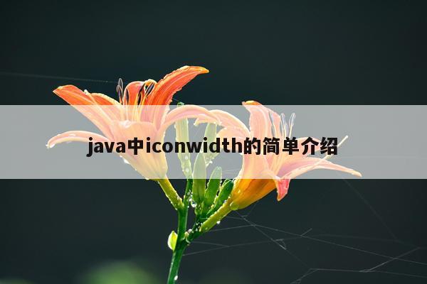 java中iconwidth的简单介绍