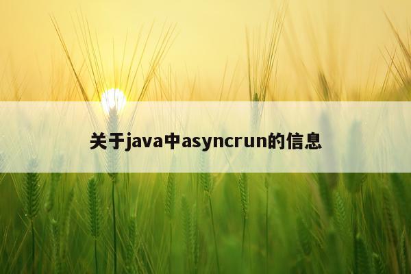 关于java中asyncrun的信息