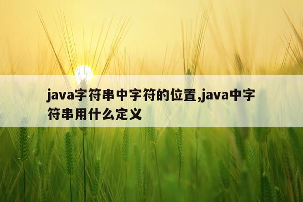 java字符串中字符的位置,java中字符串用什么定义