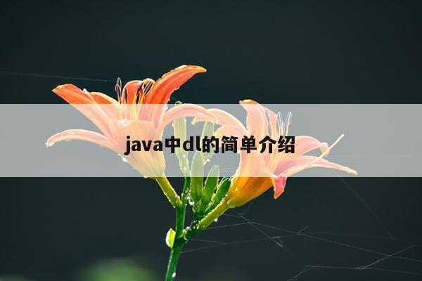 java中dl的简单介绍