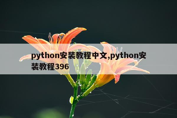 python安装教程中文,python安装教程396