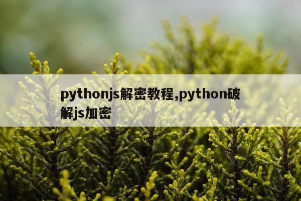 pythonjs解密教程,python破解js加密