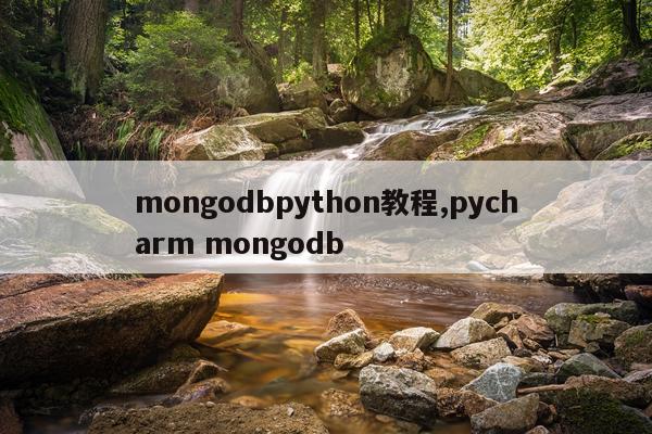 mongodbpython教程,pycharm mongodb