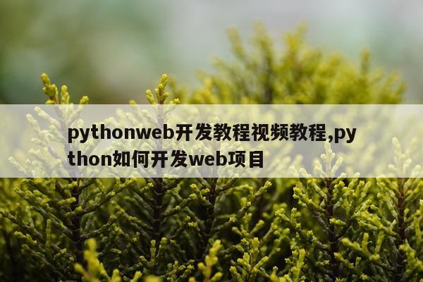 pythonweb开发教程视频教程,python如何开发web项目