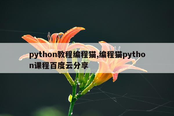 python教程编程猫,编程猫python课程百度云分享