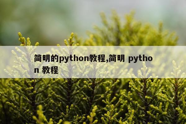 简明的python教程,简明 python 教程