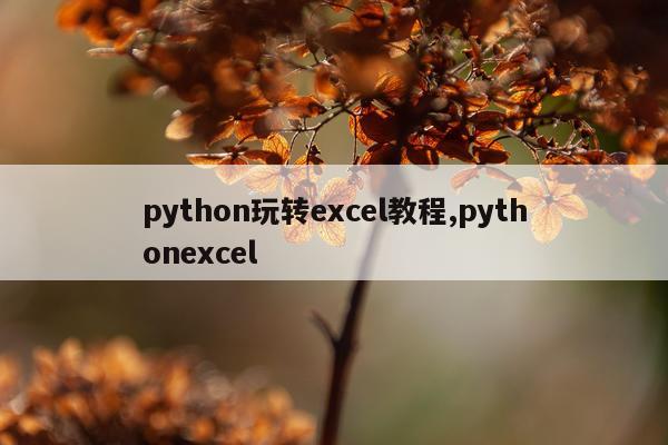 python玩转excel教程,pythonexcel