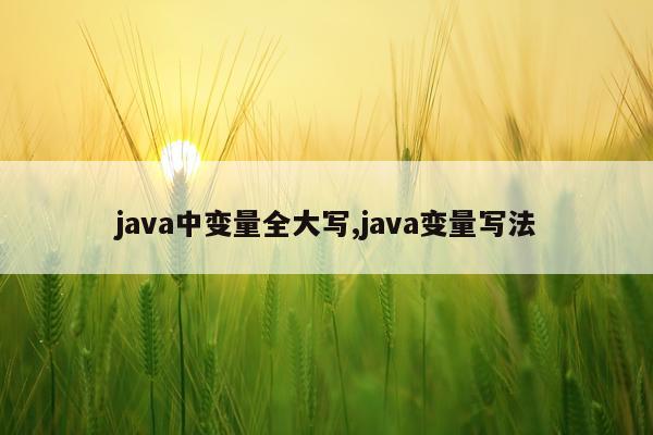 java中变量全大写,java变量写法