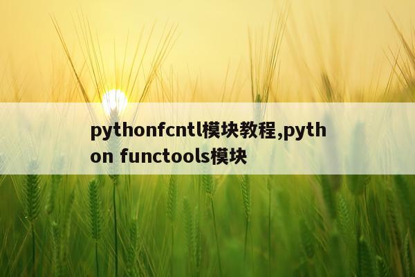 pythonfcntl模块教程,python functools模块