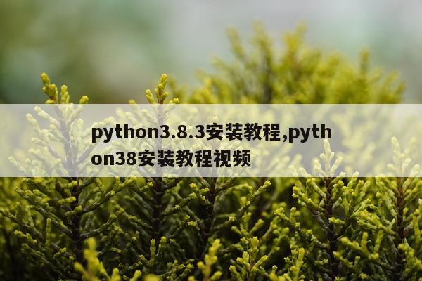 python3.8.3安装教程,python38安装教程视频