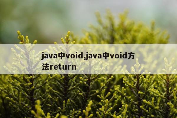 java中void,java中void方法return