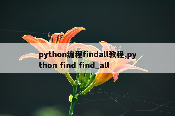 python编程findall教程,python find find_all