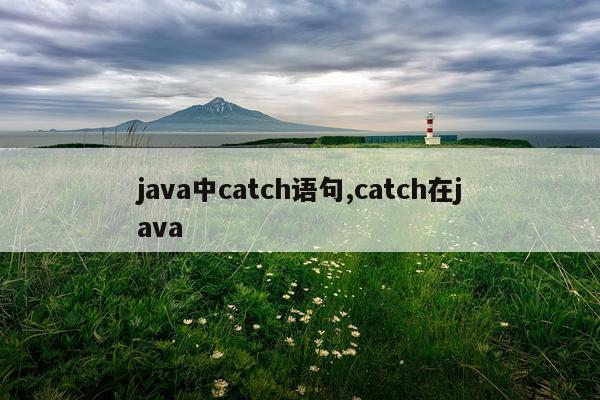 java中catch语句,catch在java