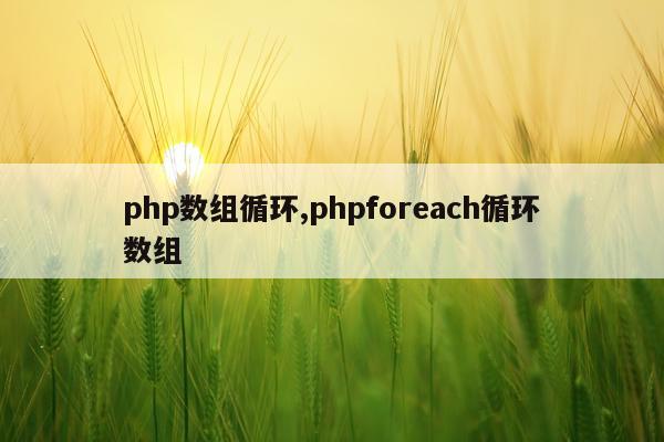 php数组循环,phpforeach循环数组