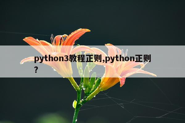 python3教程正则,python正则?