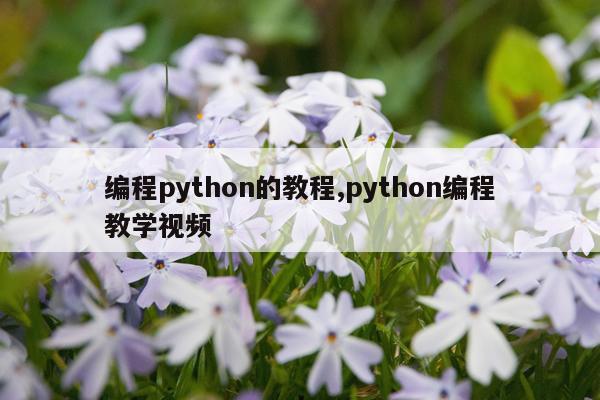 编程python的教程,python编程教学视频