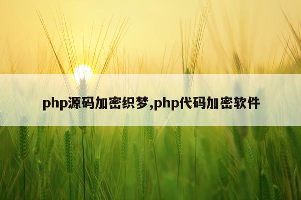 php源码加密织梦,php代码加密软件