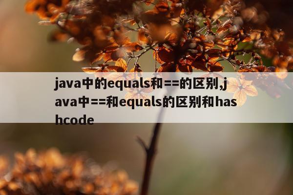 java中的equals和==的区别,java中==和equals的区别和hashcode