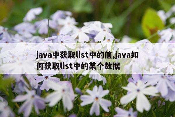 java中获取list中的值,java如何获取list中的某个数据