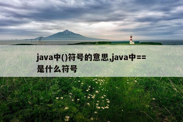 java中()符号的意思,java中==是什么符号