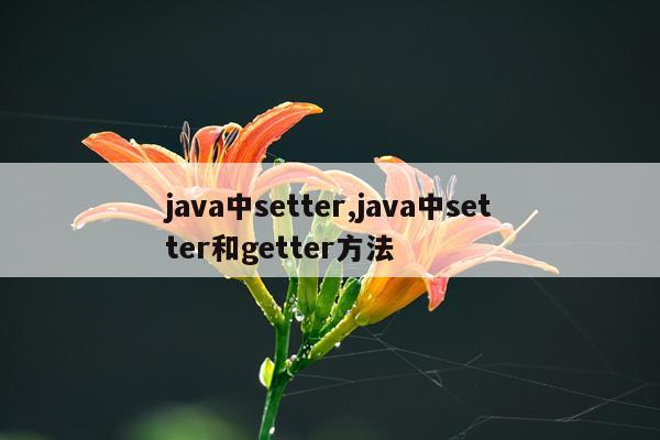 java中setter,java中setter和getter方法