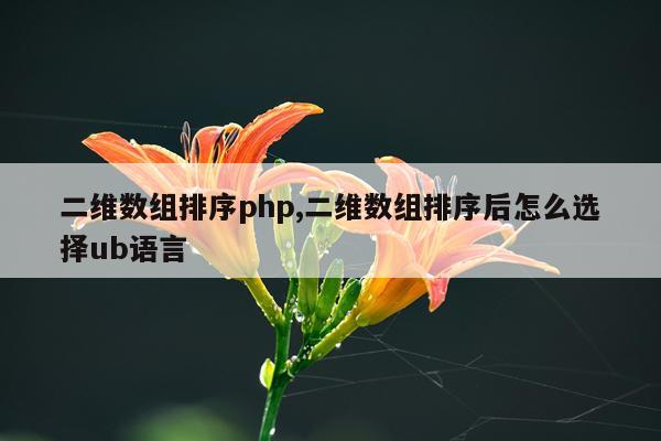 二维数组排序php,二维数组排序后怎么选择ub语言