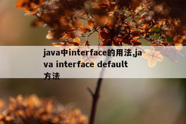 java中interface的用法,java interface default方法