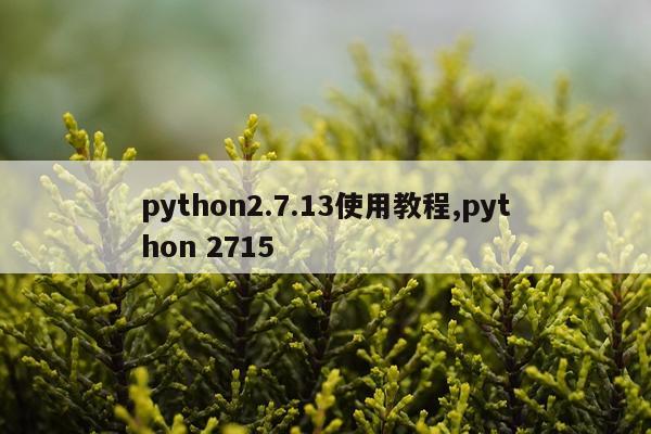 python2.7.13使用教程,python 2715